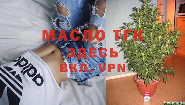 тгк Нея