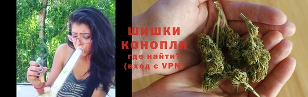тгк Нея