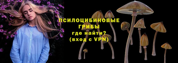 спиды Нефтегорск
