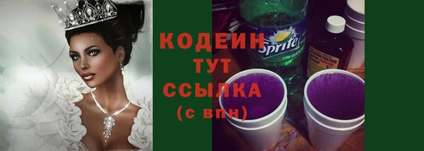 тгк Нея