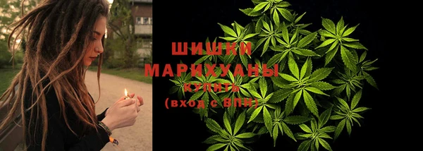 тгк Нея