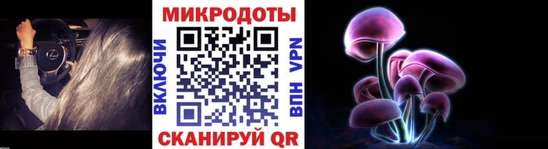 продажа наркотиков Полярный Псилоцибиновые грибы MAGIC MUSHROOMS